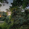 Отель Pugdundee Safaris- Tree House Hideaway, фото 13