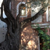 Отель Levantin Inn 13 Room N10, фото 15