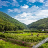 Отель Purling Hills Guesthouse, фото 11