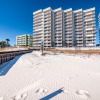Отель Spacious 4th floor condo ON THE BEACH in the heart of Orange Beach, фото 1