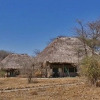 Отель Whistling Thorn Tented Camp, фото 7