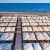 Отель Villa Sunflower Beach Hotel - All Inclusive, фото 31