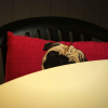 Отель Boat House Super Suites, фото 24