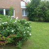 Отель Strandblume Borkum Comfortable Holiday Residence, фото 18