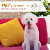 Отель Corazón Cabo Resort & Spa, фото 33