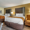 Отель Comfort Inn Marion near Downtown & Blue Ridge PKWY, фото 22