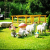 Отель Resort Huangchui Baan Phu Khao, фото 14