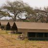 Отель Rongai Eleven Serengeti Camp, фото 11