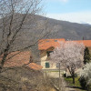 Отель Azienda Agrituristica Lavagè, фото 10