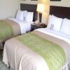 Отель Comfort Inn & Suites Southwest Fwy at Westpark, фото 8