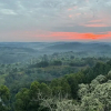 Отель Top of the World Lodges Fort Portal, фото 9