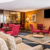 Отель Comfort Inn & Suites, фото 30