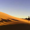 Отель Sahara Camels Camp, фото 18