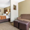 Отель Comfort Inn Asheville Airport, фото 7
