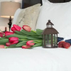 Отель Suites Berna 12, фото 10