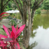Отель Fazenda São Luiz da Boa Sorte, фото 10