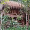 Отель 1 BHK Cottage in Wayanad wildlife sanctuary, by GuestHouser (DD54), фото 8