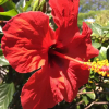 Отель Gloria Beach Lodge, фото 16