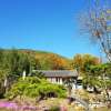 Отель Gangjin Dahyang Sochuk Hanok Pension, фото 1
