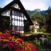 Отель The Lakehouse Cameron Highlands в Ринглете