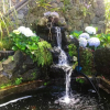 Отель Bungalow with One Bedroom in Le Tampon, with Furnished Garden And Wifi - 10 Km From the Beach, фото 18