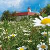 Отель Stift St. Georgen, фото 26