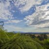 Отель Billy Buttons Bed and Breakfast, фото 9