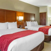 Отель Comfort Inn Lancaster - Rockvale Outlets, фото 37