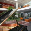 Отель Embassy & Boston, фото 10