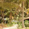 Отель Leybato Beach Hotel, фото 13