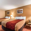 Отель Econo Lodge Inn & Suites, фото 5