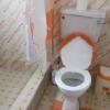 Отель Veronica Adu Tesano 2 bedroom Self Catering House, фото 8