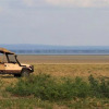 Отель Lemala Manyara Camp, фото 4