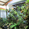Отель Homestay Lada Syariah, фото 16