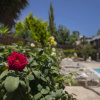 Отель Ayia Napa Villa Napa Gardens, фото 1