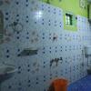 Отель Periyar Green Bed & Breakfast, фото 4