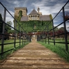 Отель Marco Pierre White's Rudloe Arms, фото 17