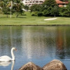 Отель The Green Golf Condominium, фото 12