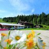 Отель Alpengasthof Götschenalm, фото 21