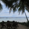 Отель Panglao Grande Resort, фото 18