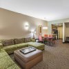 Отель Homewood Suites by Hilton Dallas Downtown, TX, фото 28