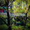 Отель Wenying Hotel, фото 16