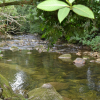 Отель Sobrado novo com varanda e deck com churrasqueira, na beira do rio das Pedras, 2 salas, 3 suites 2 q, фото 1