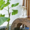Отель Shuyun Chunsheng Hostel, фото 6