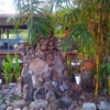 Отель Ban Kun Lung Homestay, фото 2