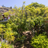 Отель Home2Book Stunning Villa Raquel, Pool & View, фото 15
