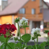 Отель Sribni Rosy, фото 17