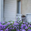 Отель The White Chalet View, фото 25