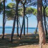Отель Awesome Home in Piombino With Wifi and 3 Bedrooms, фото 18