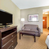 Отель Comfort Suites North, фото 3